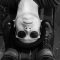 Lawrence Lui Dials Up the Dissonance in Eerie Cover of Brian Eno’s “Fractal Zoom”