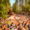 10 Things to Do at Shambhala Music Festival When You’re Not Dancing Your Heart Out