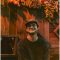 Tape B Announces Fall Tour, “The Soundtrack to Everything You Forgot”